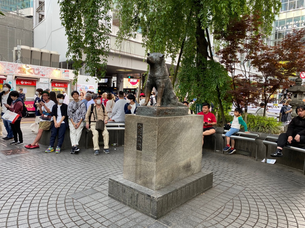 Estatua de Hachiko