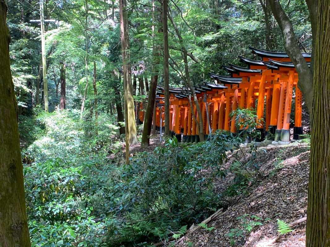 SANTUARIO FUSHIMI INARI