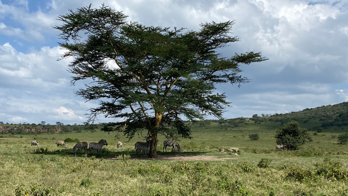 KENIA