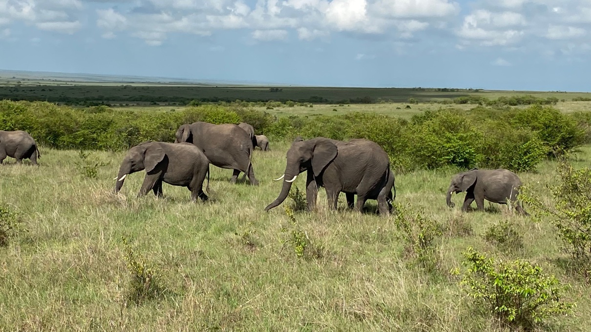 KENIA